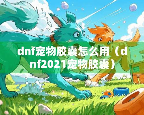 dnf宠物胶囊怎么用（dnf2021宠物胶囊）