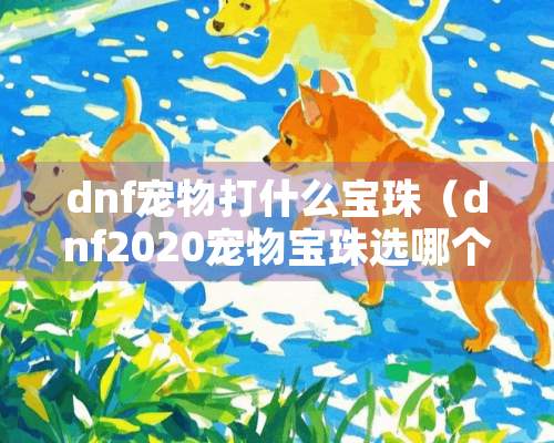 dnf宠物打什么宝珠（dnf2020宠物宝珠选哪个）