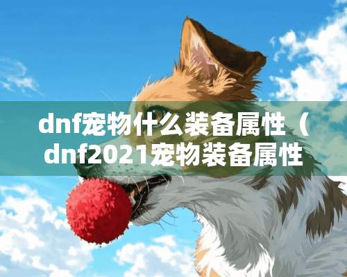 dnf宠物什么装备属性（dnf2021宠物装备属性）