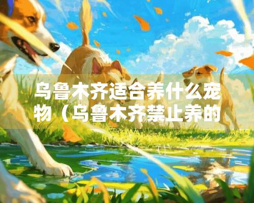 乌鲁木齐适合养什么宠物（乌鲁木齐禁止养的犬品种）