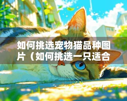 如何挑选宠物猫品种图片（如何挑选一只适合自己的宠物猫）