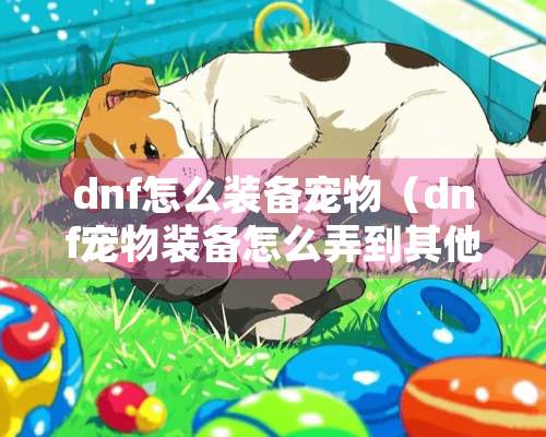 dnf怎么装备宠物（dnf宠物装备怎么弄到其他角色上）