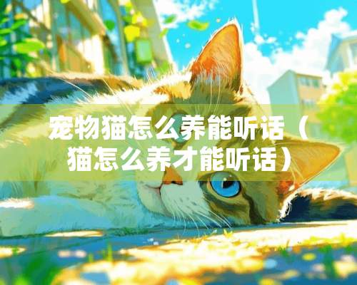 宠物猫怎么养能听话（猫怎么养才能听话）