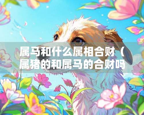 属马和什么属相合财（属猪的和属马的合财吗?）