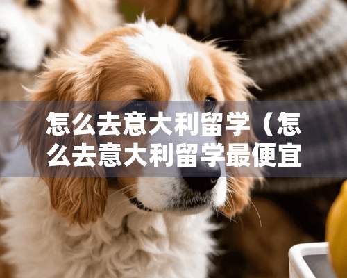 怎么去意大利留学（怎么去意大利留学最便宜）