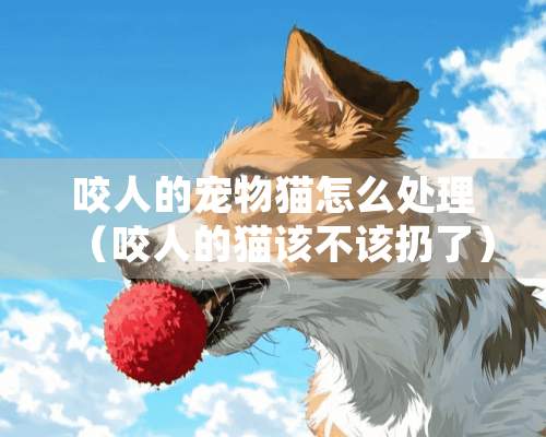 咬人的宠物猫怎么处理（咬人的猫该不该扔了）