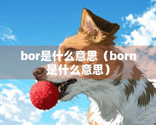 bor是什么意思（born是什么意思）