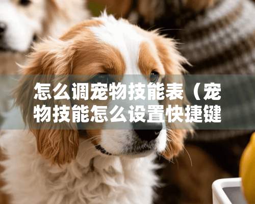 怎么调宠物技能表（宠物技能怎么设置快捷键）