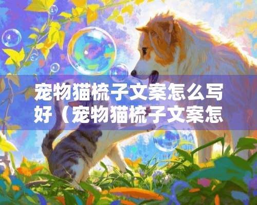 宠物猫梳子文案怎么写好（宠物猫梳子文案怎么写好呢）