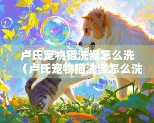 卢氏宠物猫洗澡怎么洗（卢氏宠物猫洗澡怎么洗好）