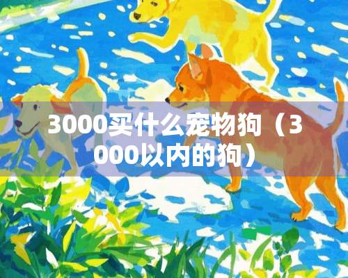 3000买什么宠物狗（3000以内的狗）