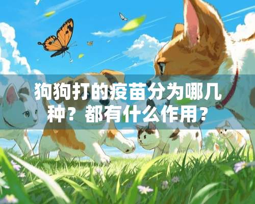 狗狗打的**分为哪几种？都有什么作用？