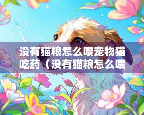 没有猫粮怎么喂宠物猫吃药（没有猫粮怎么喂幼猫）