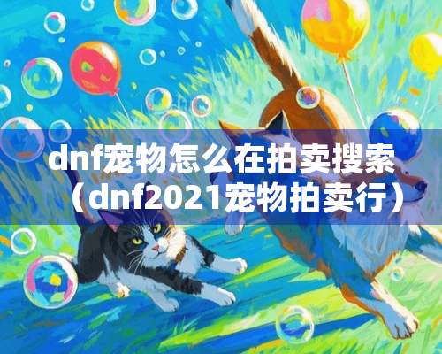 dnf宠物怎么在拍卖搜索（dnf2021宠物拍卖行）