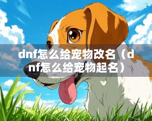 dnf怎么给宠物改名（dnf怎么给宠物起名）