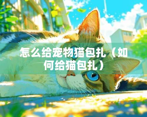 怎么给宠物猫包扎（如何给猫包扎）