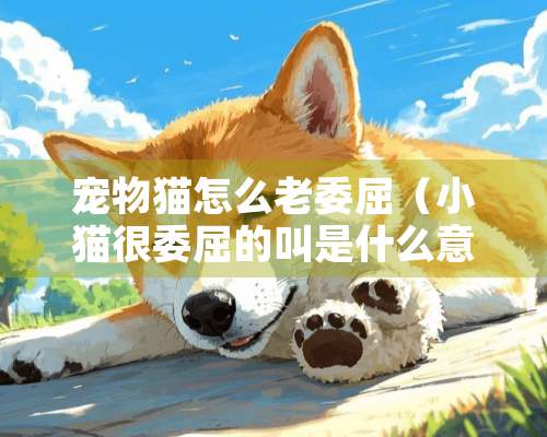 宠物猫怎么老委屈（小猫很委屈的叫是什么意思）