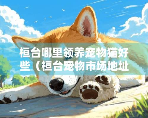 桓台哪里领养宠物猫好些（桓台宠物市场地址）