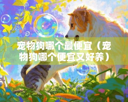 宠物狗哪个最便宜（宠物狗哪个便宜又好养）