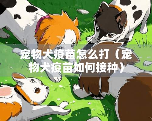 宠物犬疫苗怎么打（宠物犬疫苗如何接种）