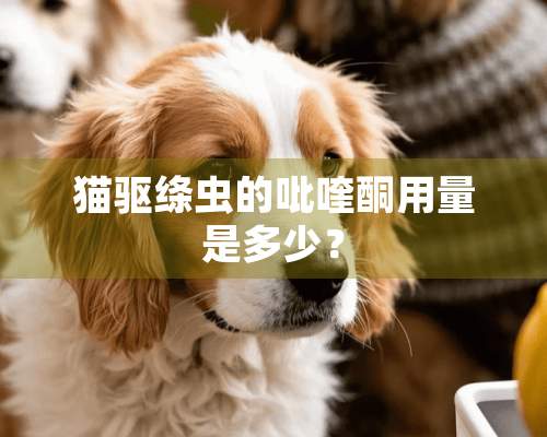 猫驱绦虫的吡喹酮用量是多少？