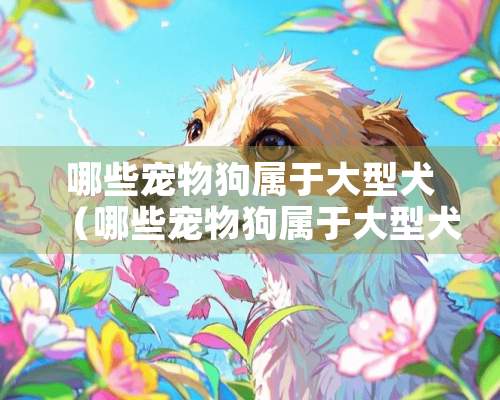 哪些宠物狗属于大型犬（哪些宠物狗属于大型犬种）