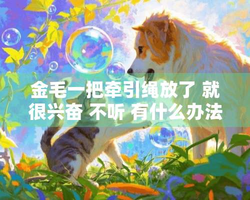 金毛一把牵引绳放了 就很兴奋 不听 有什么办法才能让它安静