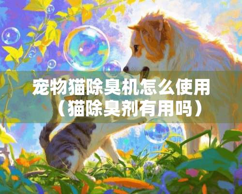 宠物猫除臭机怎么使用（猫除臭剂有用吗）