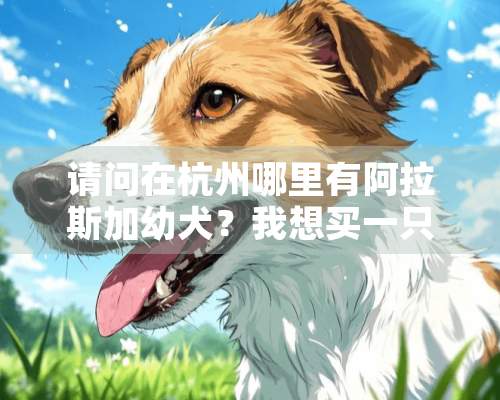 请问在杭州哪里有阿拉斯加幼犬？我想买一只。