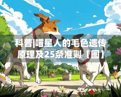 科普|喵星人的毛色遗传原理及25条准则【图】