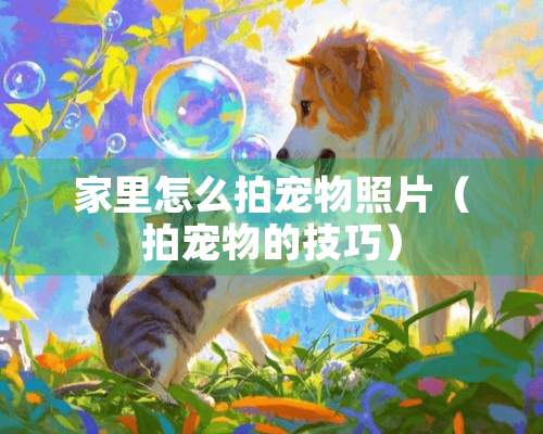 家里怎么拍宠物照片（拍宠物的技巧）