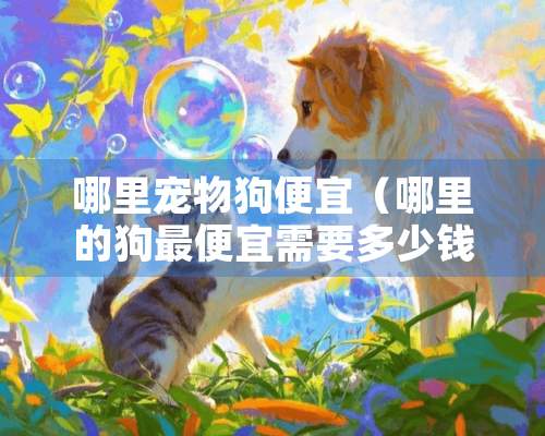 哪里宠物狗便宜（哪里的狗最便宜需要多少钱）