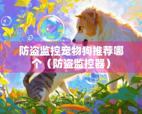 防盗监控宠物狗推荐哪个（防盗***）