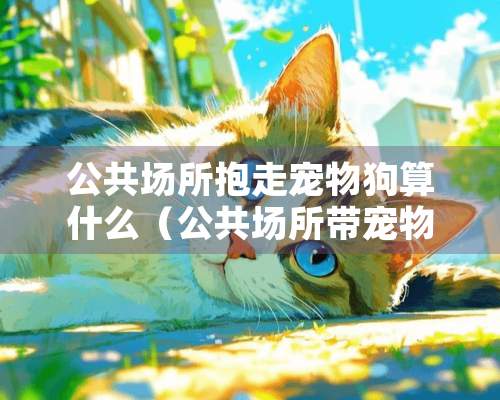 公共场所抱走宠物狗算什么（公共场所带宠物）