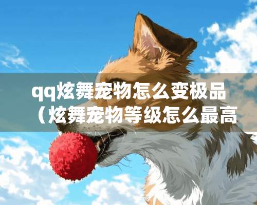 qq炫舞宠物怎么变极品（炫舞宠物等级怎么最高只有20）