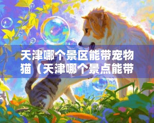 天津哪个景区能带宠物猫（天津哪个景点能带狗）