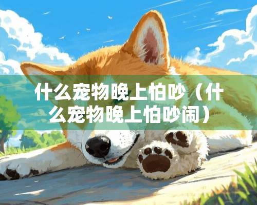 什么宠物晚上怕吵（什么宠物晚上怕吵闹）