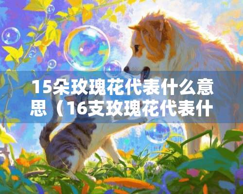 15朵玫瑰花代表什么意思（16支玫瑰花代表什么寓意呢）