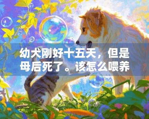 幼犬刚好十五天，但是母后死了。该怎么喂养？