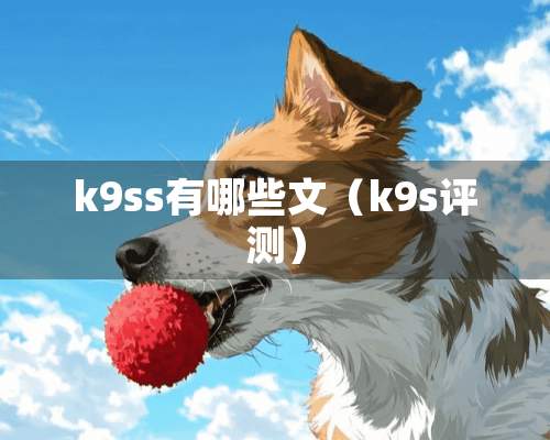 k9ss有哪些文（k9s评测）