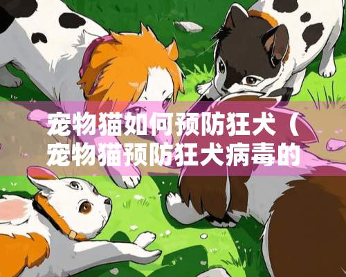 宠物猫如何预防狂犬（宠物猫预防狂犬病毒的方法）