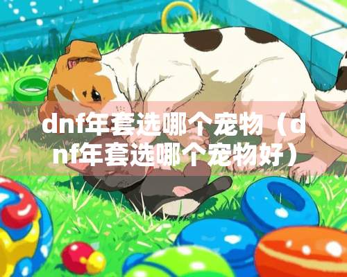 dnf年套选哪个宠物（dnf年套选哪个宠物好）