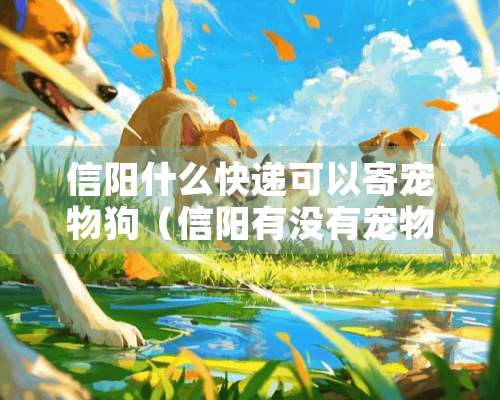 信阳什么快递可以寄宠物狗（信阳有没有宠物托运公司）