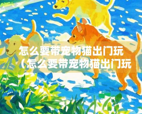 怎么要带宠物猫出门玩（怎么要带宠物猫出门玩呢）