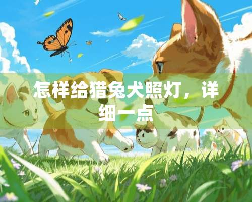 怎样给猎兔犬照灯，详细一点