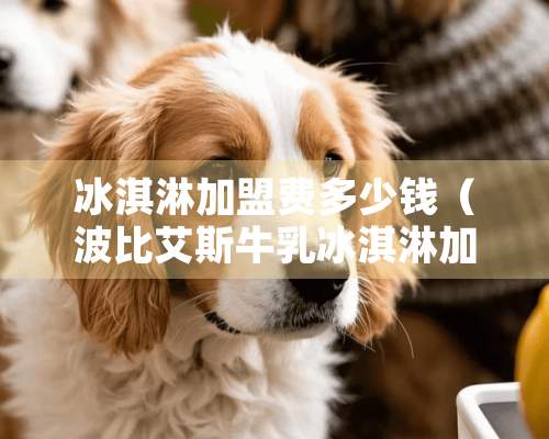 冰淇淋加盟费多少钱（波比艾斯牛*冰淇淋加盟费多少钱）