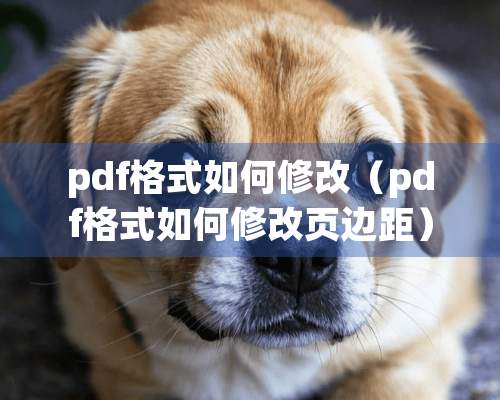 pdf格式如何修改（pdf格式如何修改页边距）