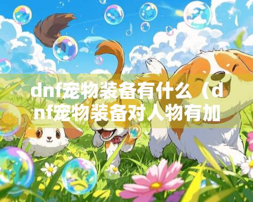 dnf宠物装备有什么（dnf宠物装备对人物有加成吗）