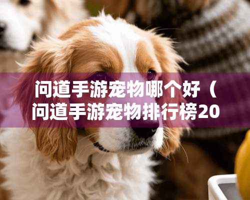 问道手游宠物哪个好（问道手游宠物排行榜2020）