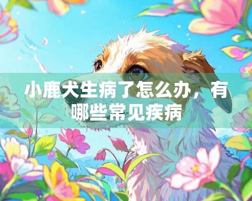 小鹿犬生病了怎么办，有哪些常见疾病